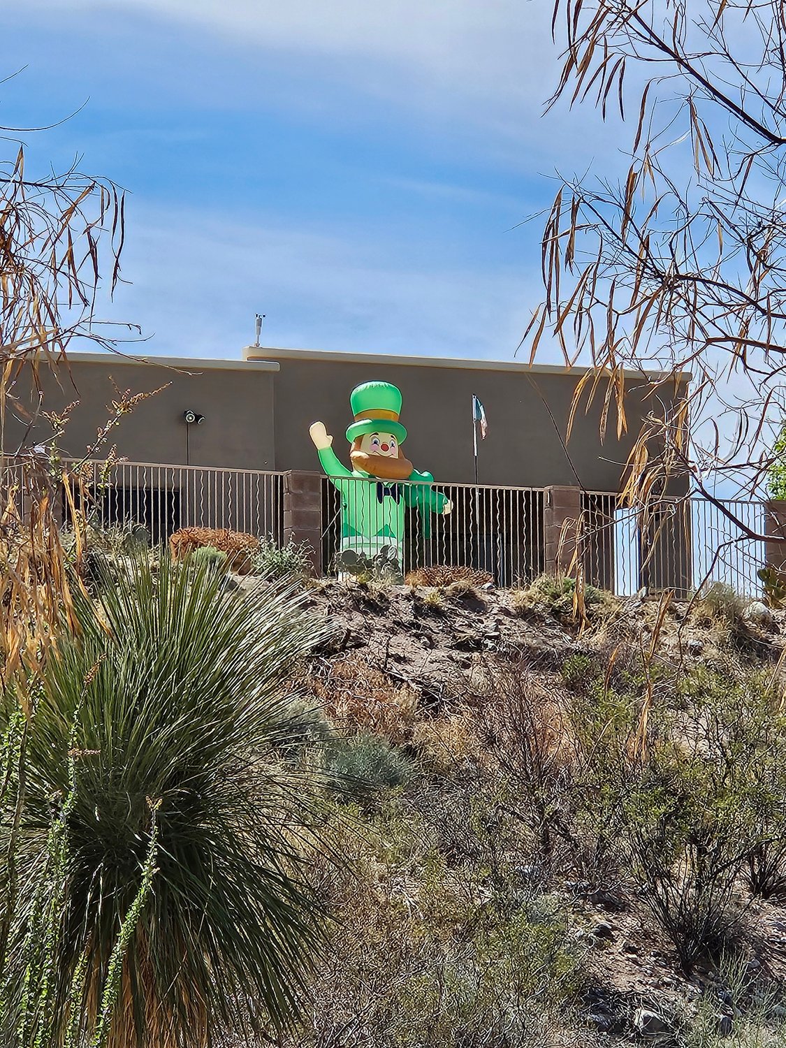 May 17, 2025 St. Patricks Day - Day 1 Championship